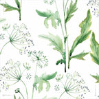 Vorhang Herkuleskraut