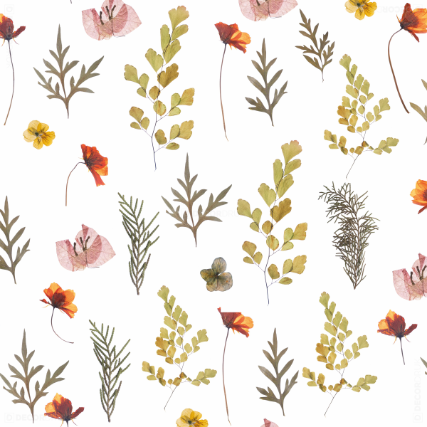 Getrocknete Wildblumen Vorhang Muster