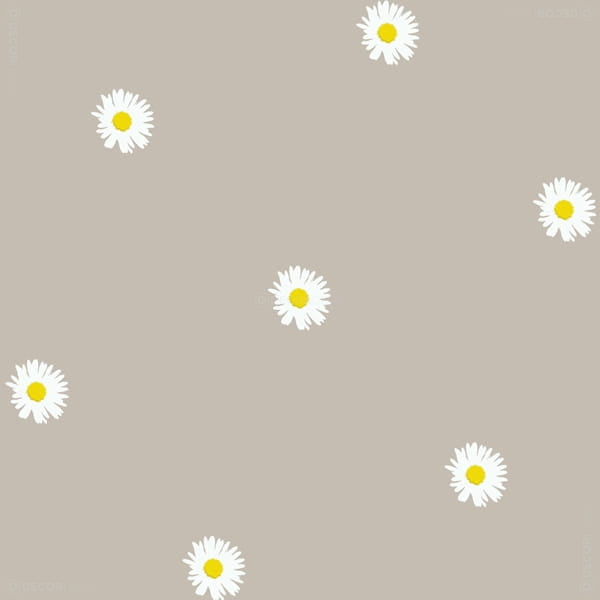 Gardinen Muster Gänseblümchen Beige