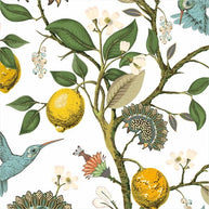 Muster Zitronen und Kolibris Vorhang
